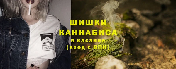 ECSTASY Богородск