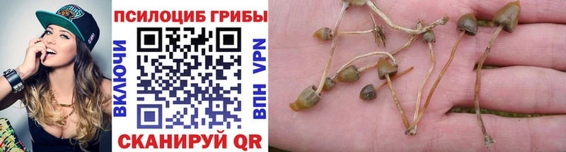 где продают наркотики  маркетплейс клад  Галлюциногенные грибы GOLDEN TEACHER  Великий Устюг 